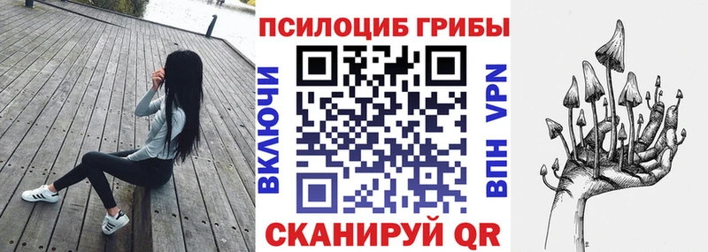 купить   Волгореченск  гидра онион  Псилоцибиновые грибы Cubensis 